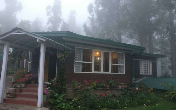 A beautiful cottage in a misty forest 