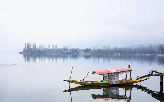 Glimpse of winter in Kashmir in the middle of Dal lake 