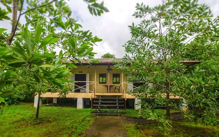 A cottage surrounded by green trees and a lush lawn 