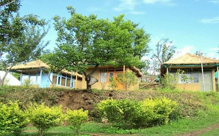 A gorgeous lush green lawn of a resort with hut style rooms 