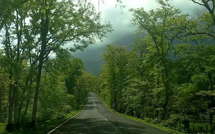 A road amid misty mountain