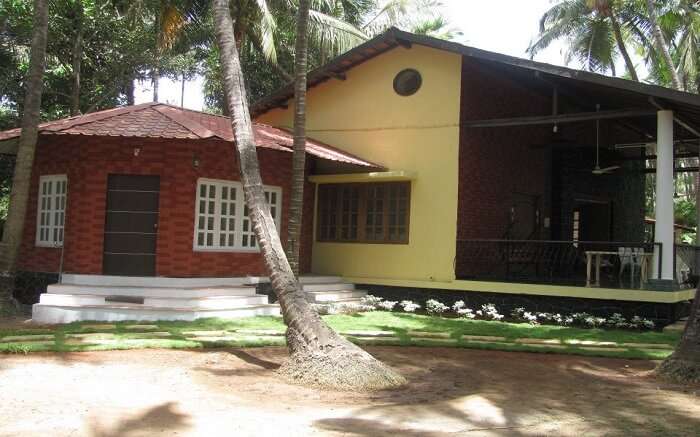 A simple and beautiful cottage with a palm tree in the yard