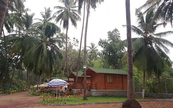 Casa de Kihim wooden cottages surrounded by palm trees 