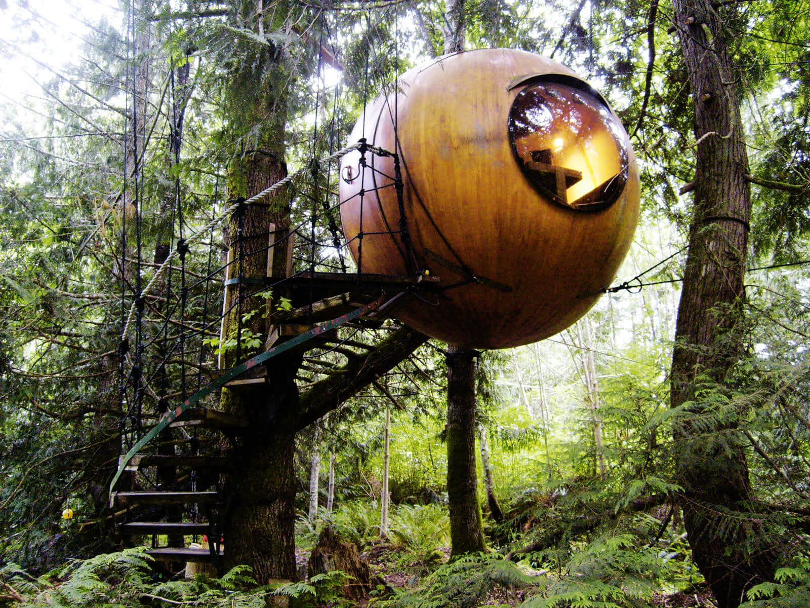 Free Spirit Spheres Treehouse in Vancouver Island in Canada