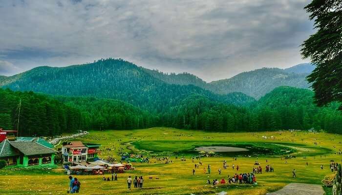 Khajjiar ground surrounded by tall deodar trees, Best Places To Visit In Himachal Pradesh In December