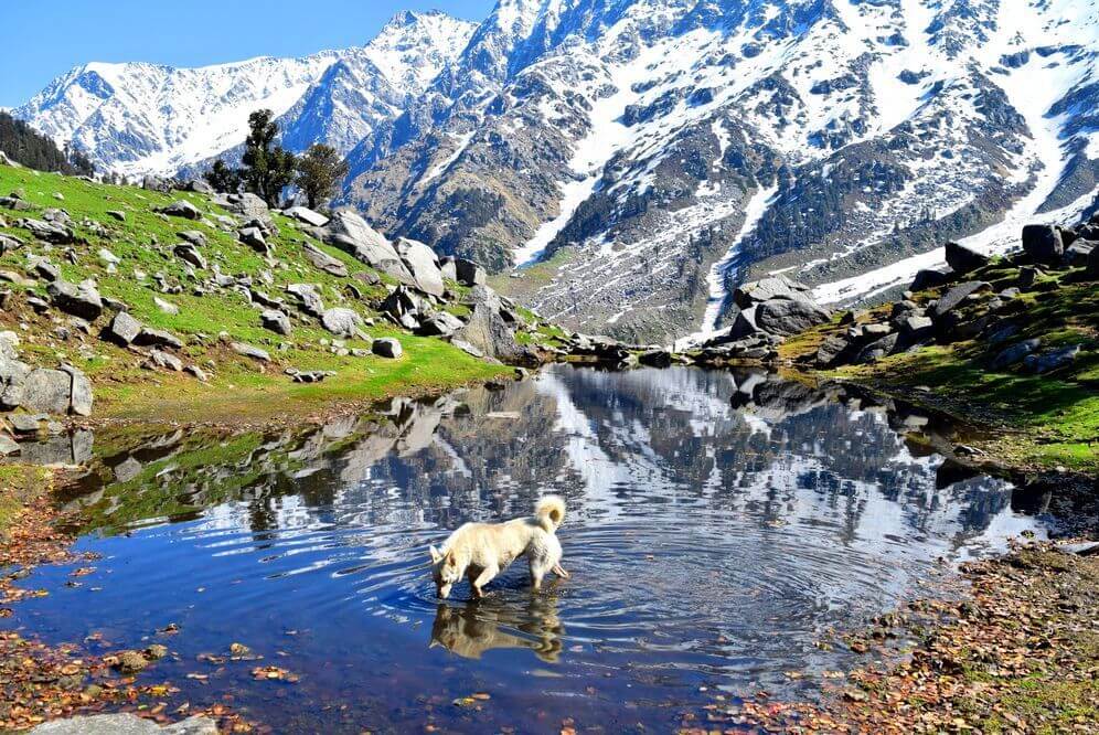 Laka Glacier in mcleodganj