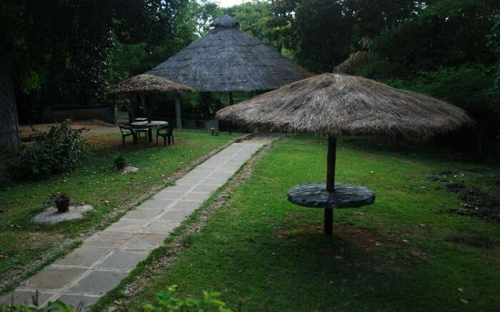 Lawn in Kali Adventure Camp 