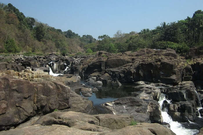Moulangi Eco Park