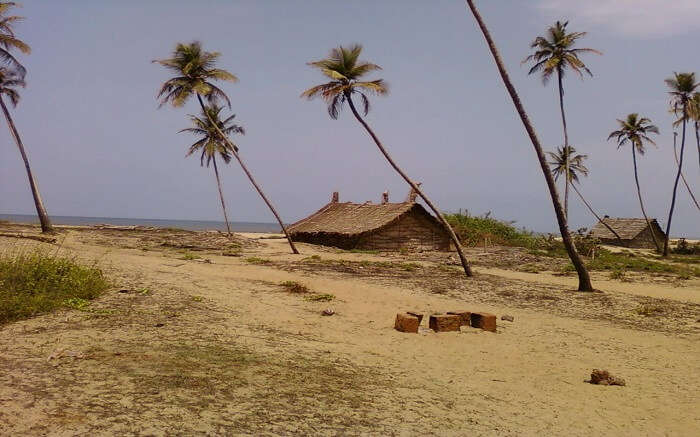 Old huts on a beach 