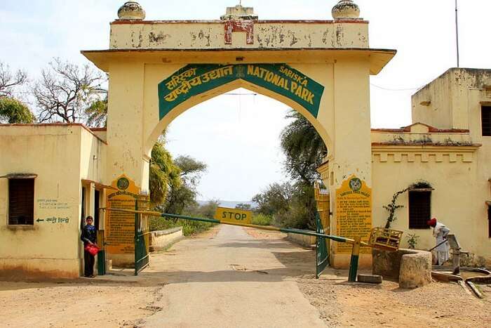 Sariska National Park Entry Fee