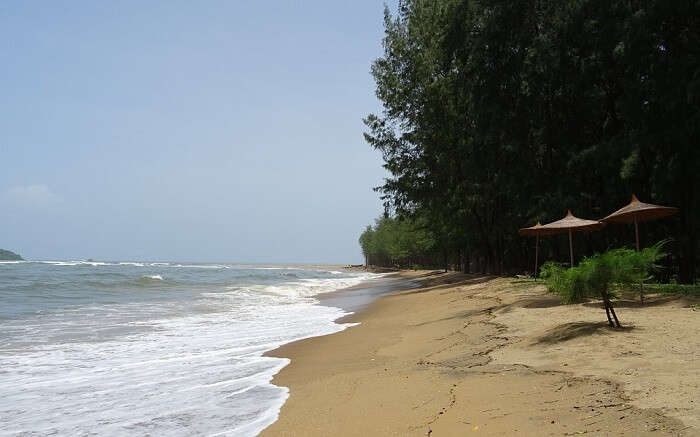 Beach Sea Froth Waves Aerosol Arabian Devbagh