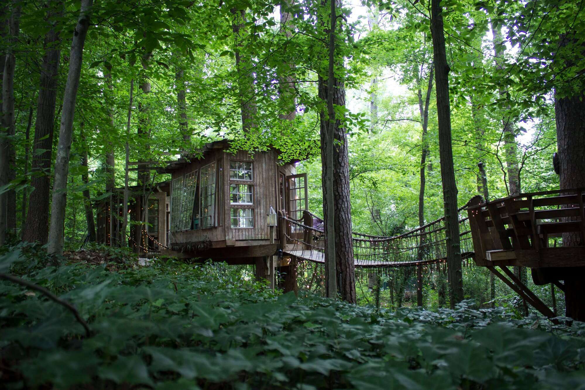 An exterior view of the secluded treehouse in Georgia nestled in forest