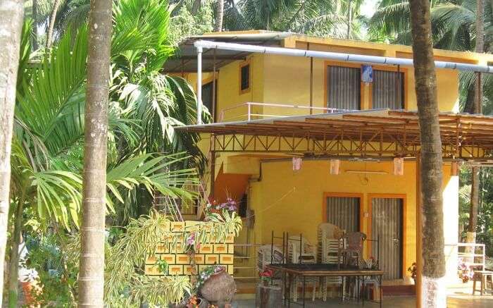 Simple Aboli Cottages surrounded by palms