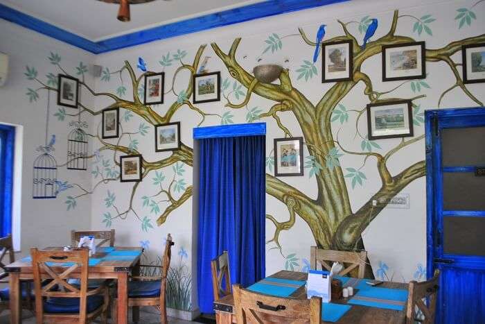 dine at the quirky cafe Taruveda