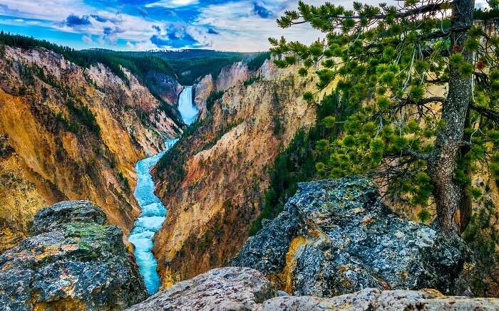 The Grand Canyon in Yellowstone National Park