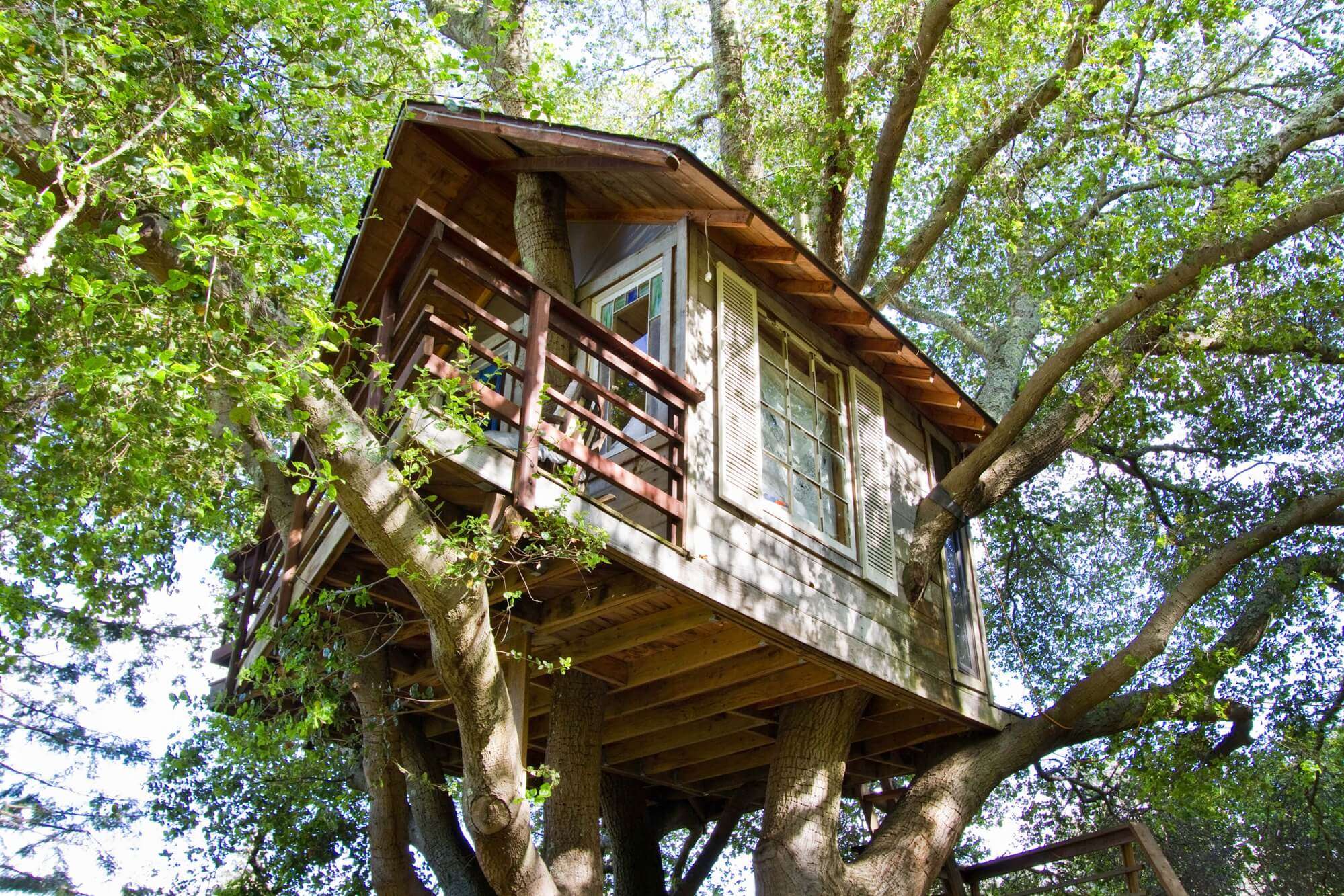 An exterior view of treehouse above San Francisco Bay in Burlingame