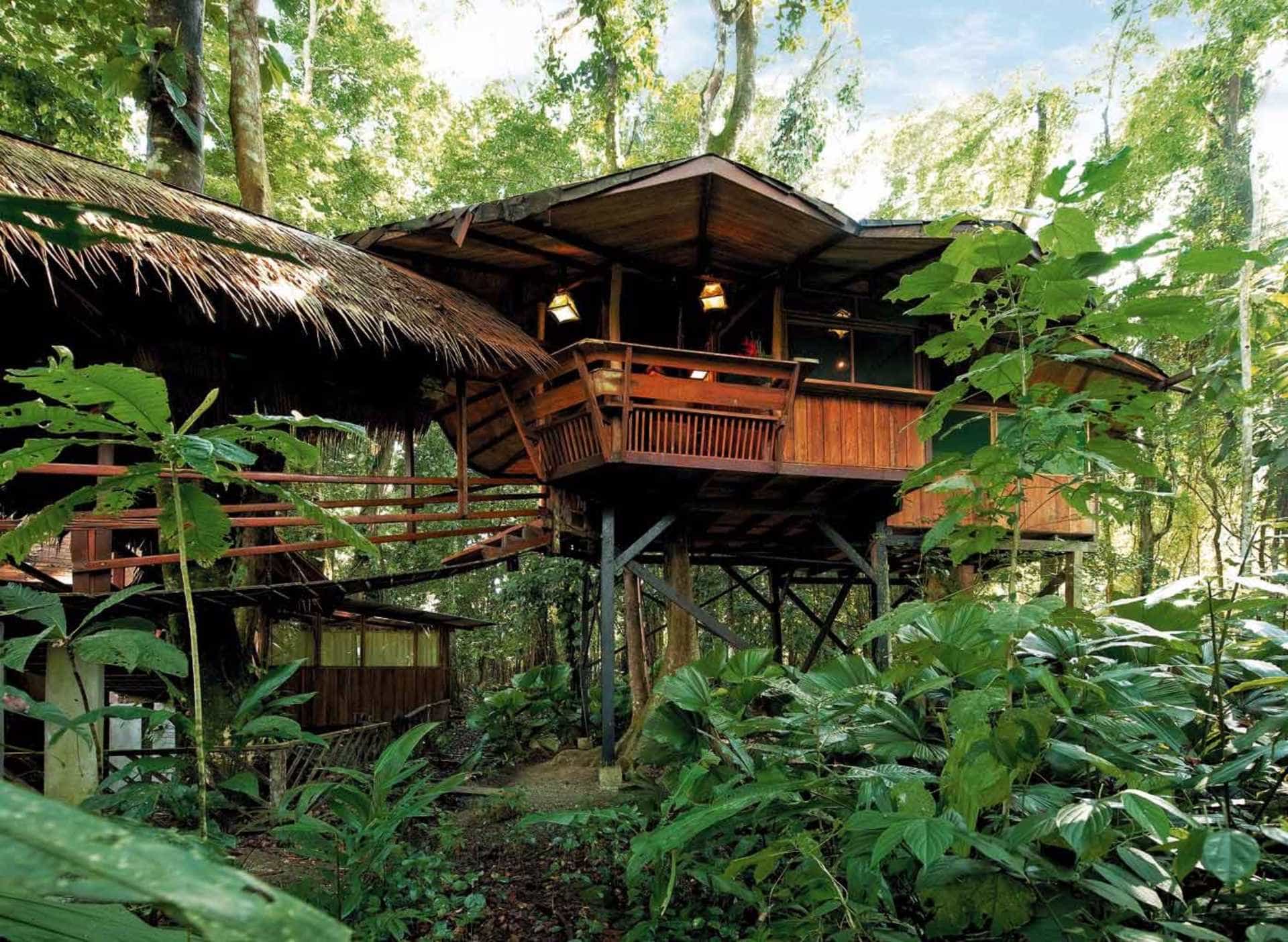 An exterior view of Treehouse Lodge in Punta Uva in Costa Rica