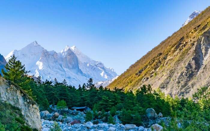 gangotri trek in winter