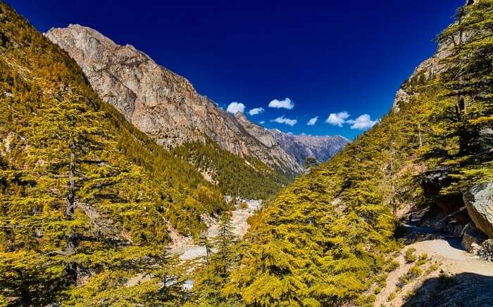 acj-0410-gangotri-glacier-trek