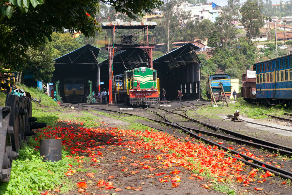 toy train in south