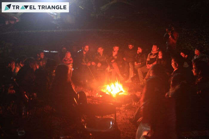people enjoying bonfire