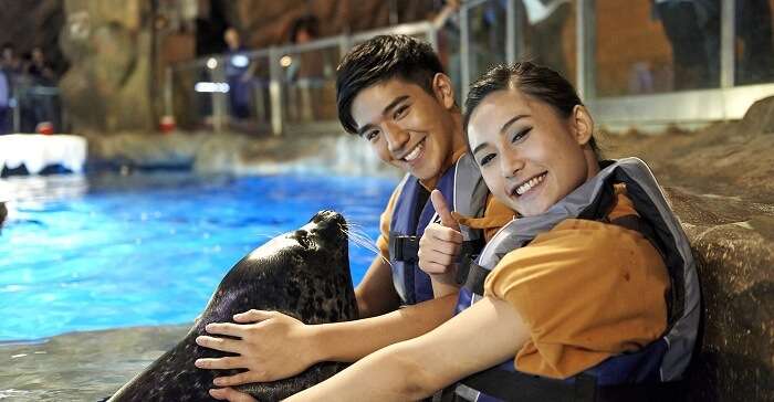 seal show in ocean park hong kong