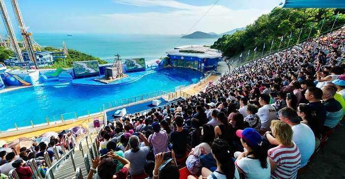 ocean park shows