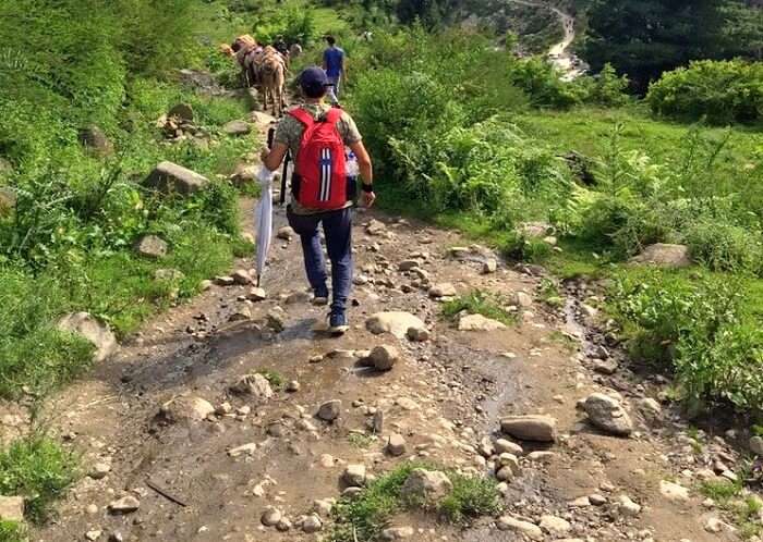 rishikesh trekking