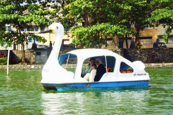 Swanboat ride in Colombo