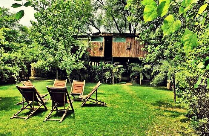 Treehouses in Jaipur