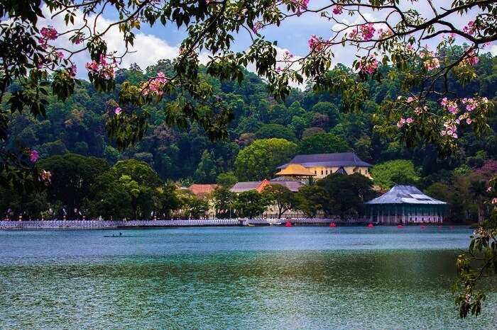 Kndy Lake, Sri Lanka