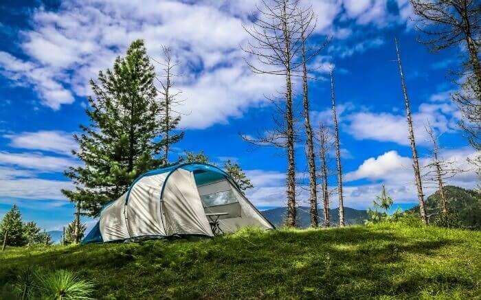 A camp in Narkanda surrounded by nature’s greenery