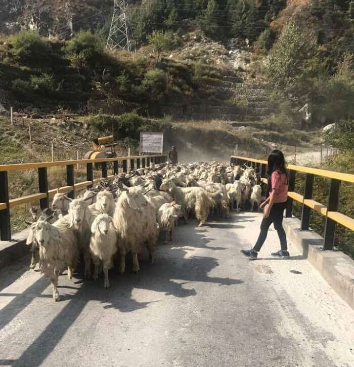 malana village route