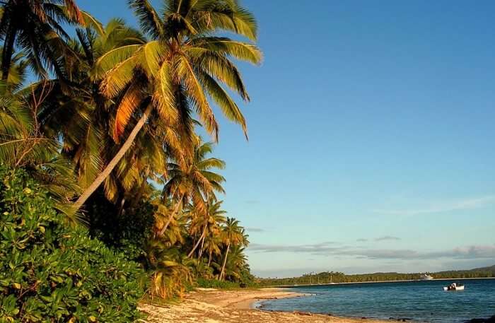 Fiji Island