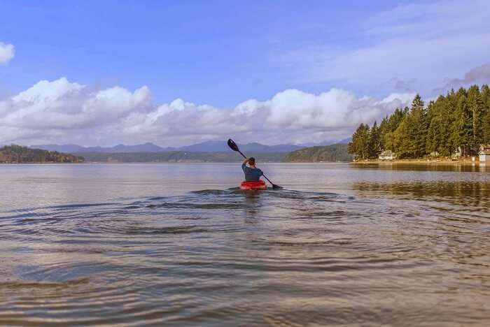Go on a guided Waterland canoe tour in Old Holland