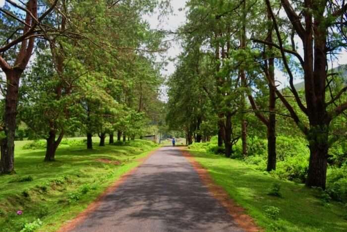 How To Reach Silent Valley National Park by road