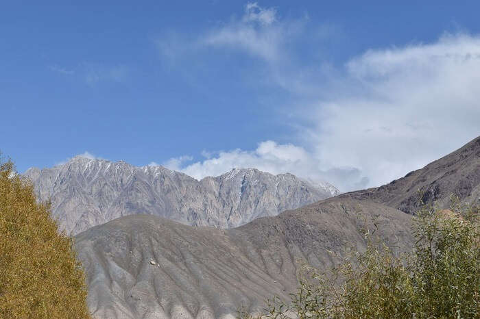 lokpal romantic trip to ladakh: nubra scenic views