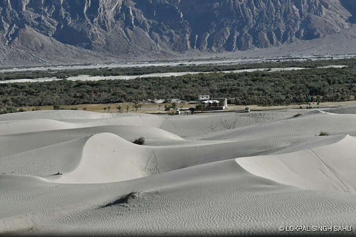 lokpal romantic trip to ladakh: nubra valley