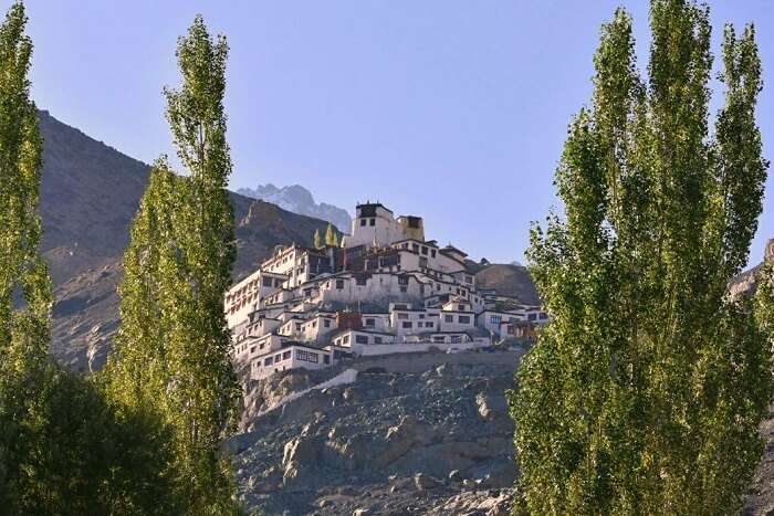 lokpal romantic trip to ladakh: thiksey monastery