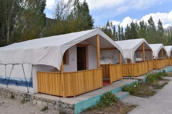 lokpal romantic trip to ladakh: hundar campsite