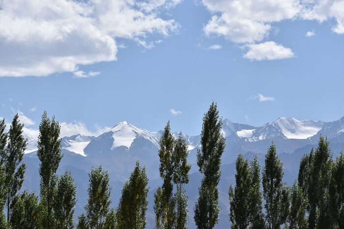 lokpal romantic trip to ladakh: scenic views