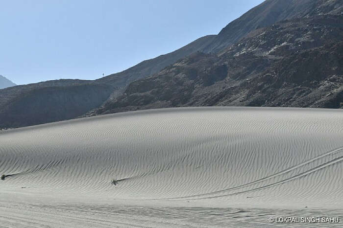 lokpal romantic trip to ladakh: nubra cold desert