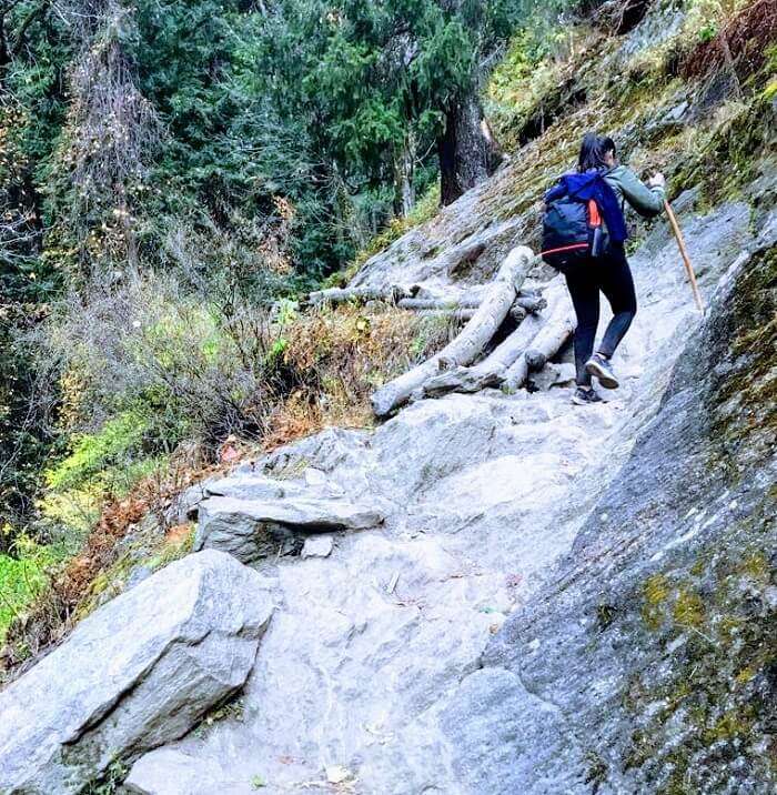 kheerganga trail