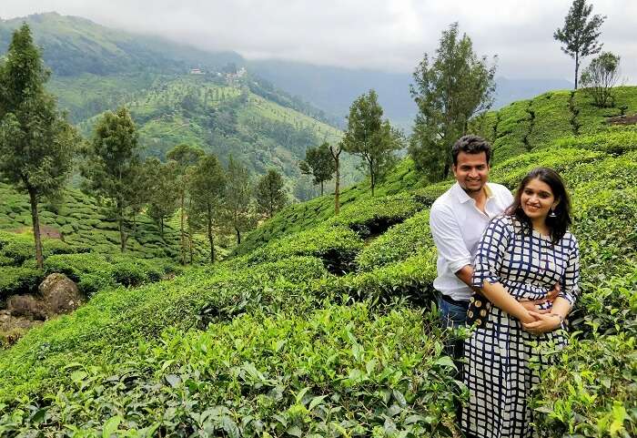 munnar nature