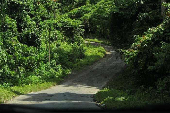 chidiya tapu port blair 