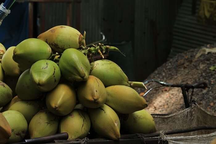 coconut water havelock