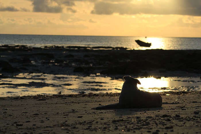 laxmanpur beach