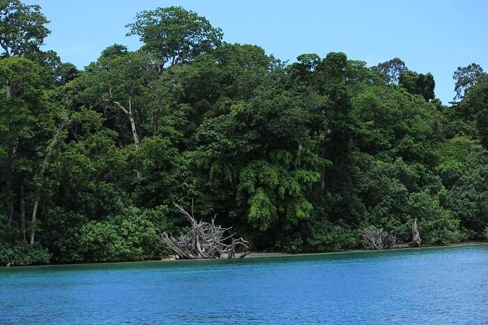 watersports in neil island