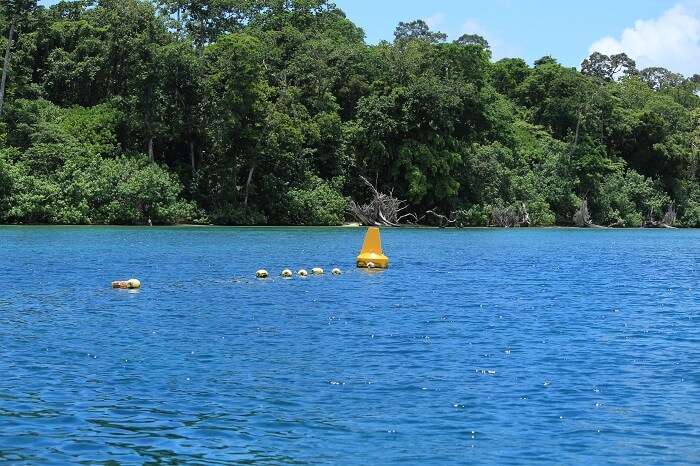 scuba diving in andaman