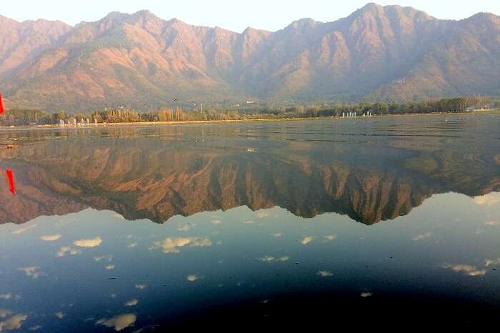 Dal Lake Srinagar
